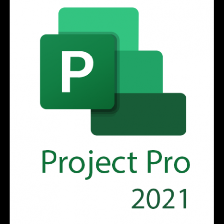Microsoft Project Professional 2021 – download for 1 Windows PC